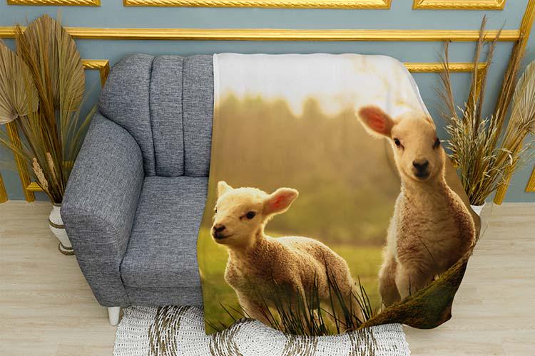 Плед Funny lambs in the field плюш однослойный 135х150 см (114018)