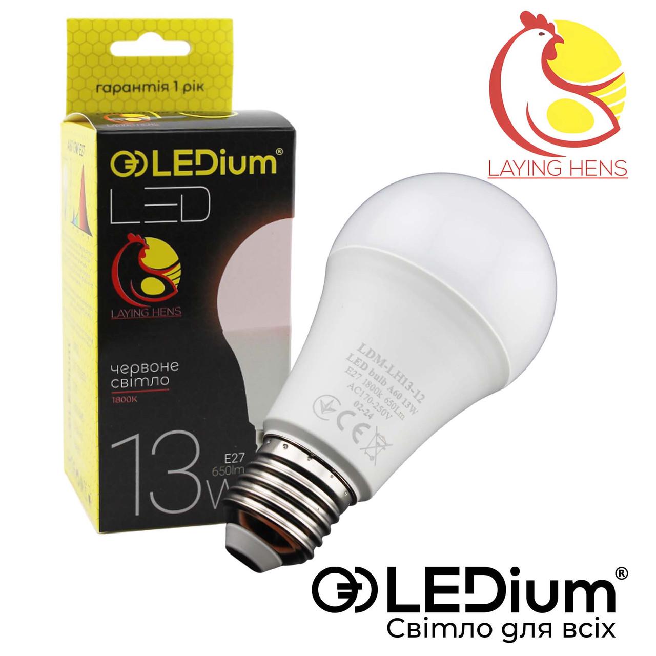 Лампа LEDium LAYING HENS 13W E27 A60 1800k 650Lm IP65 (17475) - фото 2 Лампа LEDium LAYING HENS 13W E27 A60 1800k 650Lm IP65 (17475) - фото 2