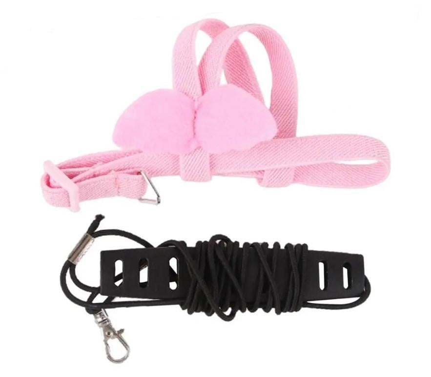 Шлея с поводком для попугаев RORI 200 см Розовый (243423)