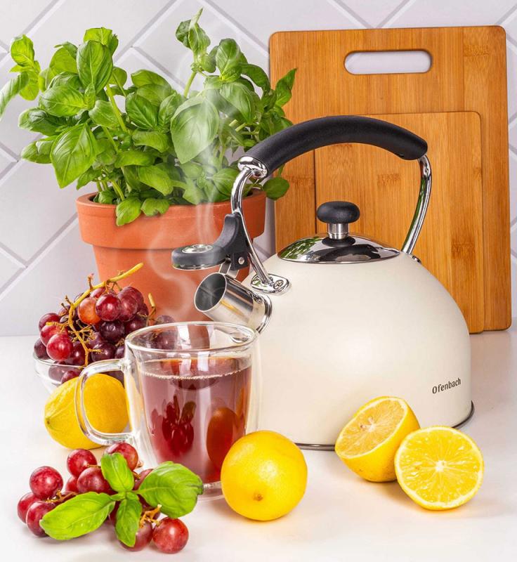 Чайник Ofenbach нержавіюча сталь зі свистком 2,2 л Бежевий матовий (NB-100325) - фото 3 Чайник Ofenbach нержавіюча сталь зі свистком 2,2 л Бежевий матовий (NB-100325) - фото 3