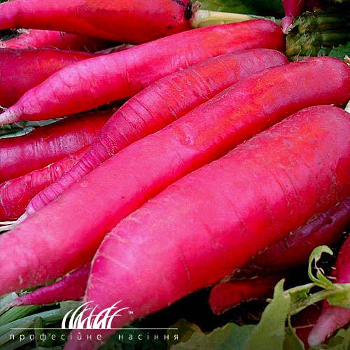 Семена Редька Florium Астор (11761) - фото 2 Семена Редька Florium Астор (11761) - фото 2