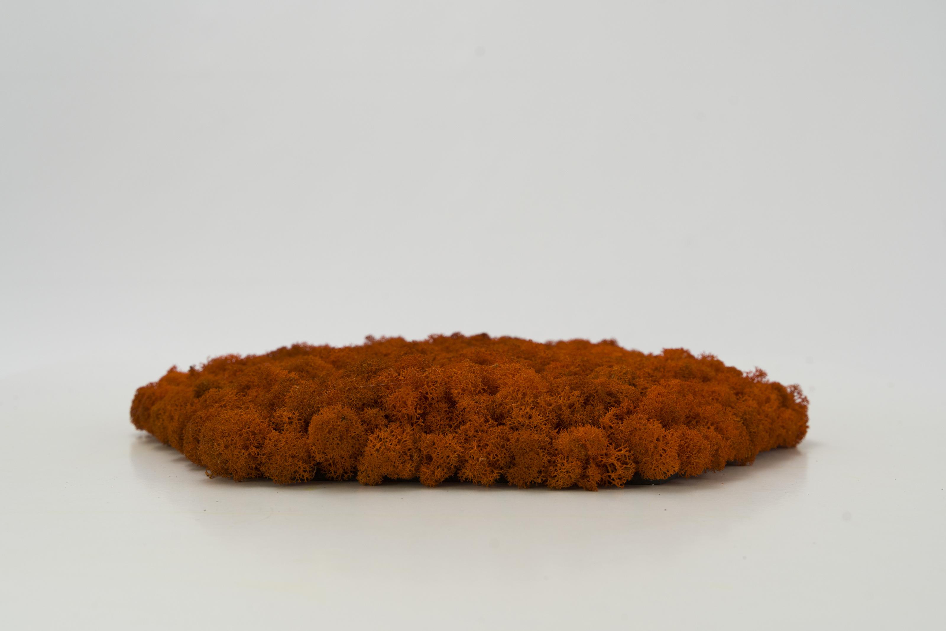 Декоративне панно з моху Organic Design шестикутникова панель 33 см Orange (702-06) - фото 2 Декоративне панно з моху Organic Design шестикутникова панель 33 см Orange (702-06) - фото 2