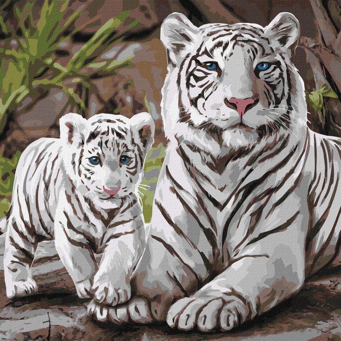 Картина по номерам ІДЕЙКА Бенгальская семья 40х40 (KHO4376)