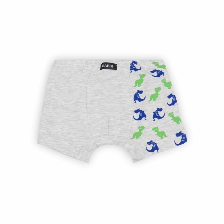 Труси-шорти дитячі бавовняні для хлопчика Gabbi SHM-22-2/1 92-98 см Білий меланж (13243)