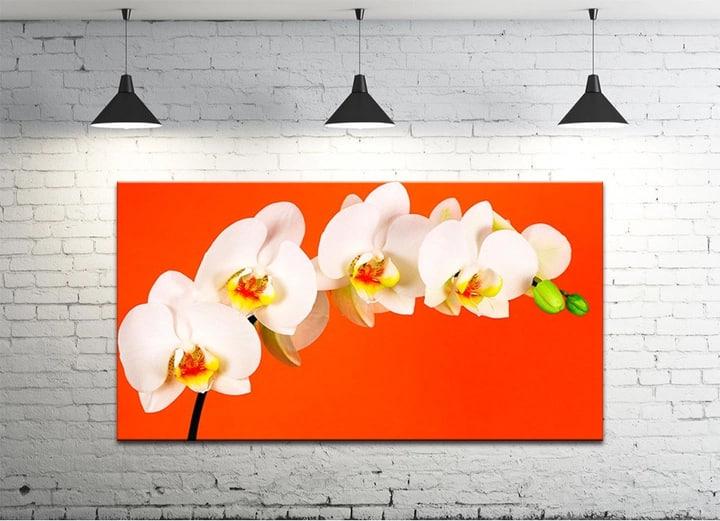 Картина на холсте DK Ветви орхидеи 50х100 см (DKP4560-c715)