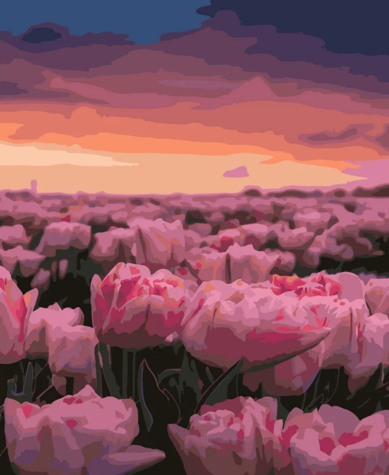 Картина по номерам Strateg Поле розовых тюльпанов 40x50 см (GS420)