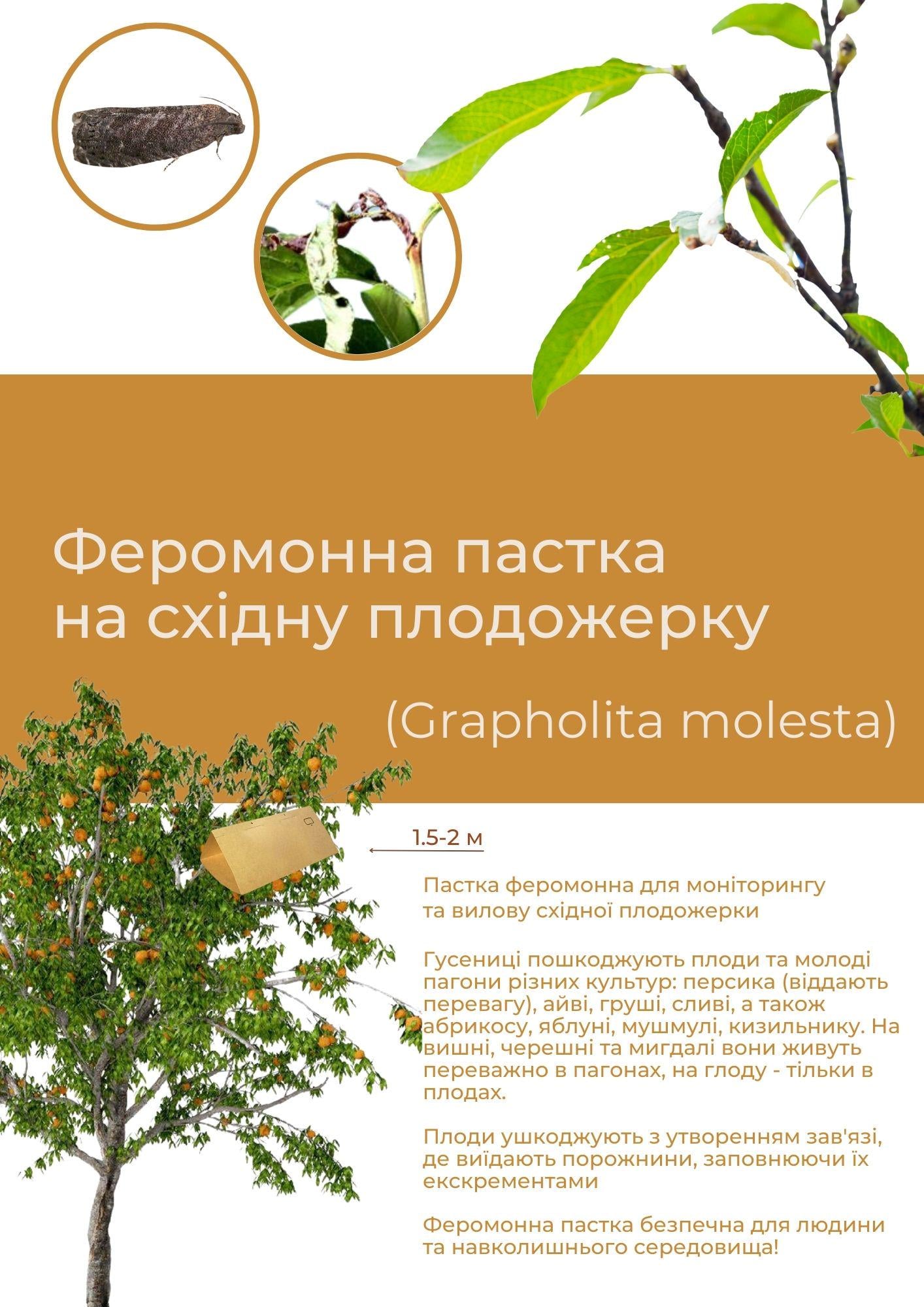 Феромонная ловушка на восточную плодожорку Grapholita molesta (С003) Феромонная ловушка на восточную плодожорку Grapholita molesta (С003)