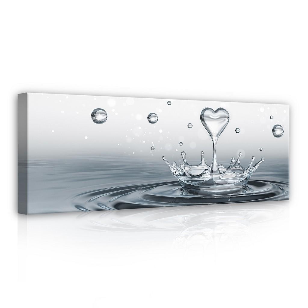 Картина на полотні 80х30 см Серце на воді (PP2529O11)