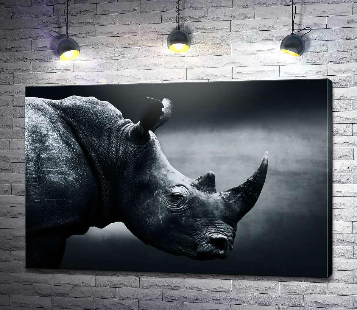 Картина ArtPoster Черно-белый портрет носорога 100x67 см Модуль №1 (004462)