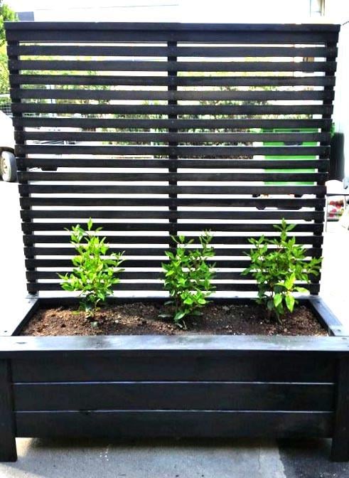 Кашпо со шпалерой из дерева Дечели Венге (КШР-002812)