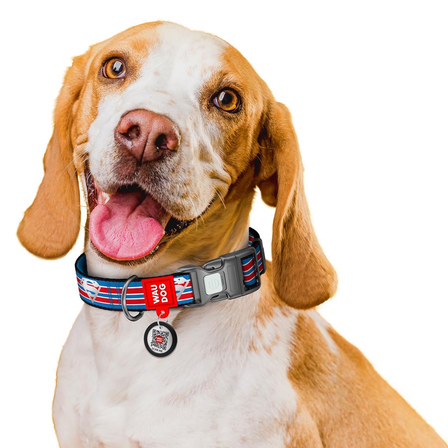 Ошейник для собак с QR-паспортом Waudog Nylon Супермен Ретро светоотражающий пластиковый фастекс L 25 мм 33-49 см Blue (282-1082) - фото 6