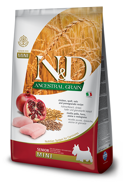Корм сухой для собак Farmina Dog Chicken & Pomegranate Senior Mini 2,5 кг (6038142)