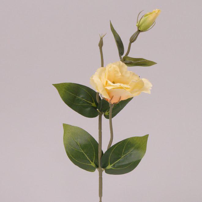 Цветок Эустома Flora 12 шт. Желтый (72055)