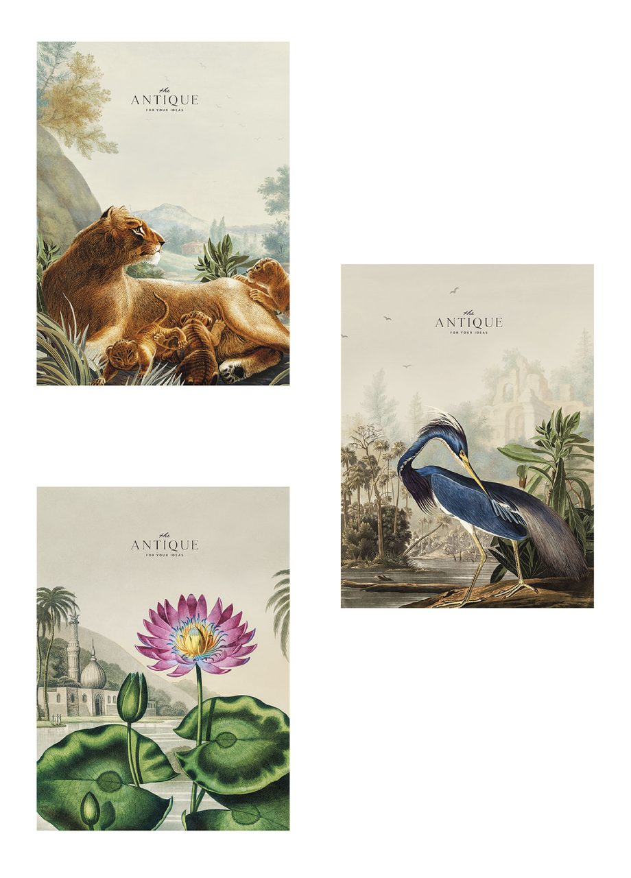 Комплект школьных тетрадей Школярик А4 48 л. в линейку 3 шт. (5079 4823088220681)