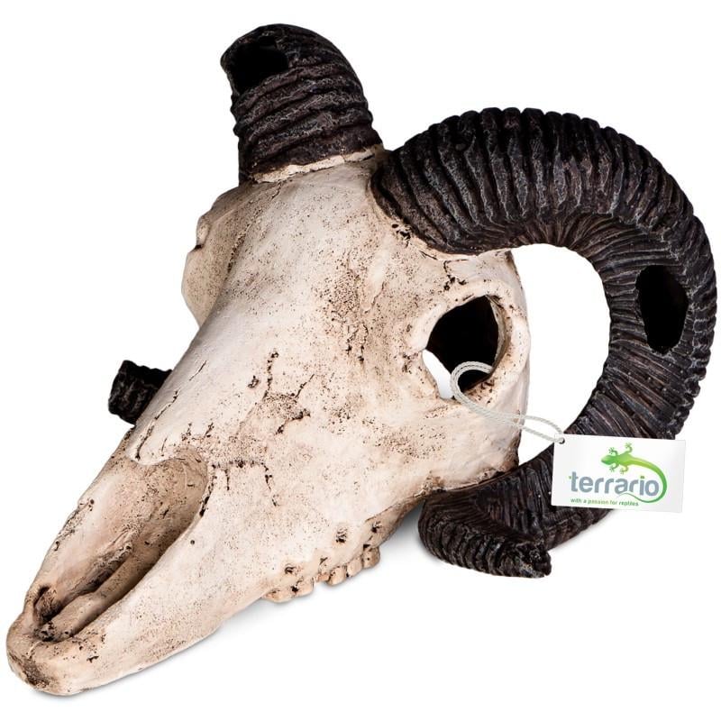 Декорация череп барана Terrario Ram Skull 19x16x11 см (TR191712)