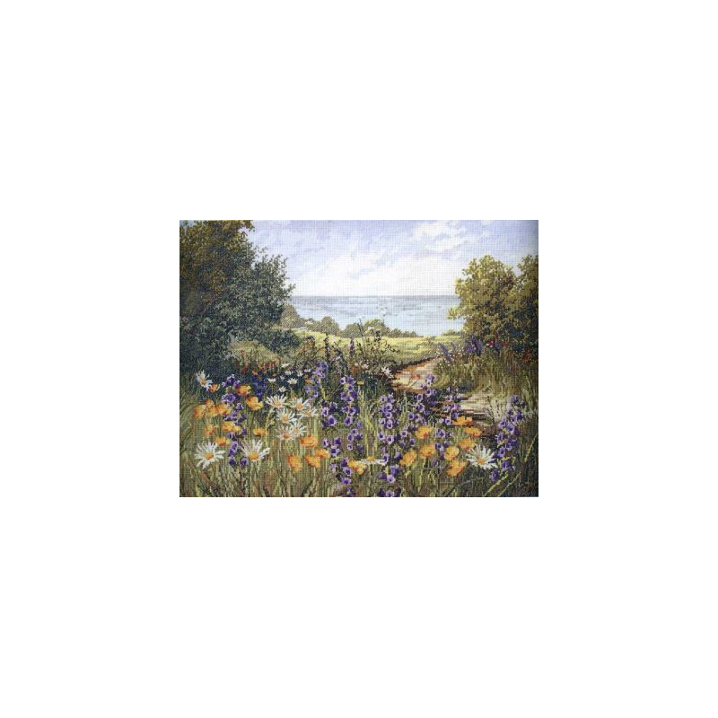 Набор для вышивания крестиком Anchor APC937 Clff Top Footpath (6587)