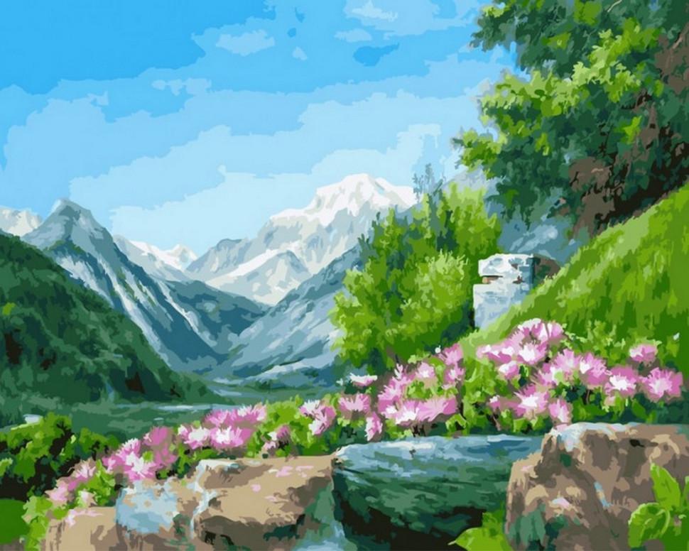 Картина по номерам Rainbow Art Горные цветы (GX23569-RA)