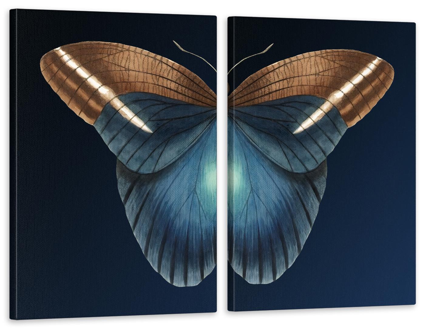 Картина модульная в гостиную/спальню Бабочка 70х102 см (TLV-2_005)