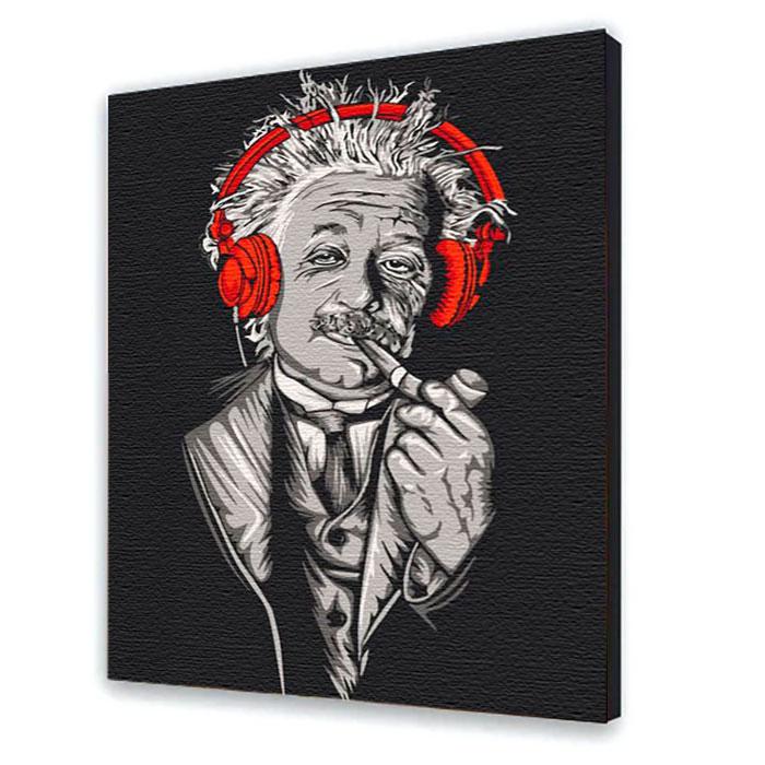 Картина по номерам ART CRAFT Эйнштейн в наушниках 40х50 см (10314-AC)