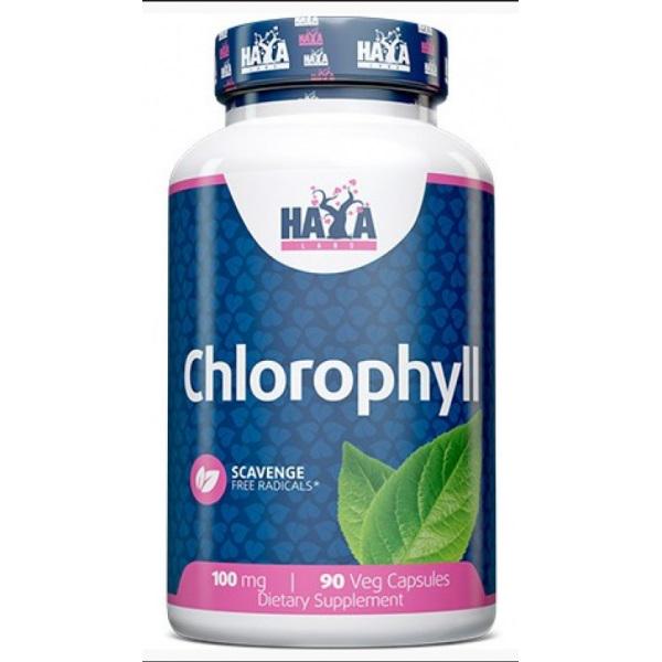 Комплекс для пищеварения Haya Labs Chlorophyll 100 mg 90 Veg caps