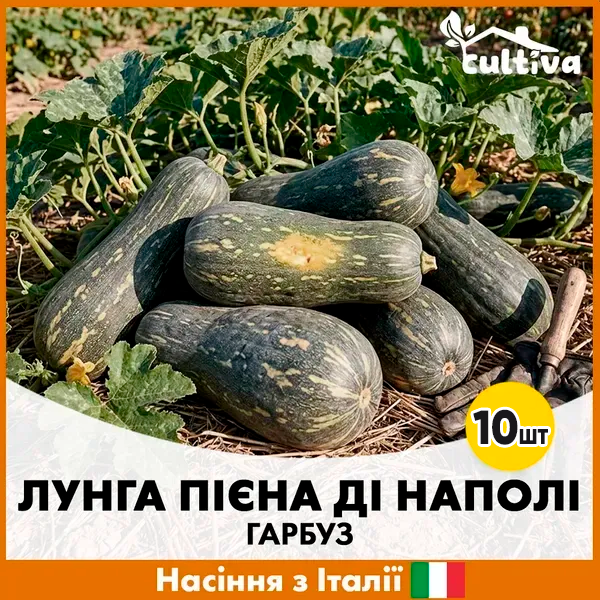 Насіння гарбузу Hortus Лунга Пієна Ді Наполі 10 шт. (R5120125)