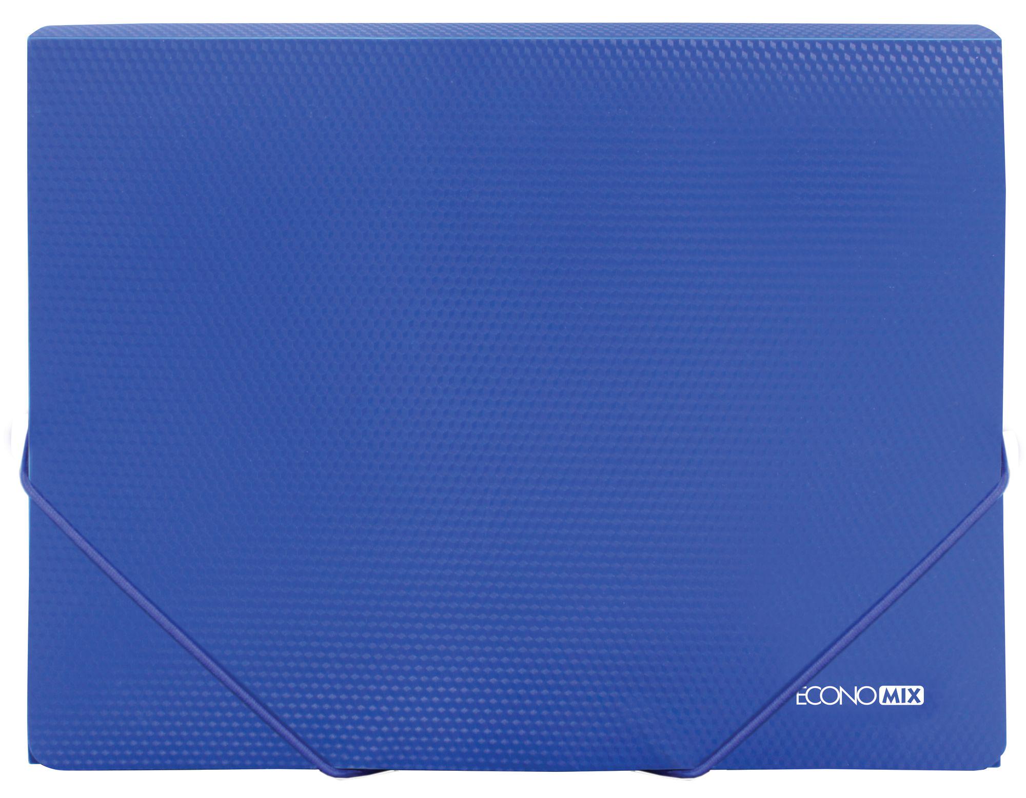 Папка пластиковая Economix 31601 А4 на резинках (16317)