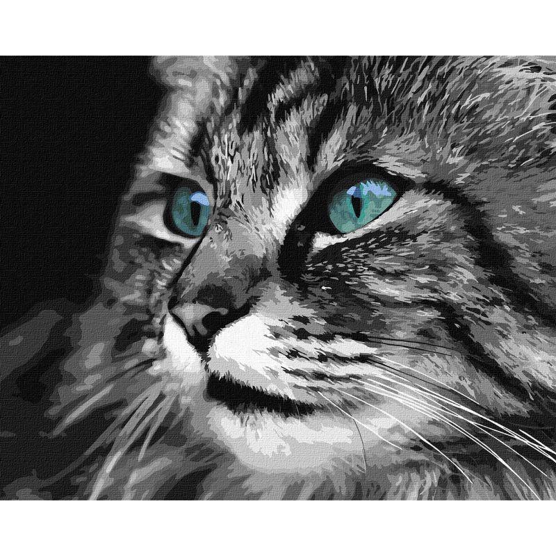 Картина за номерами Ідейка Смарагдові очі 40x50 см (KHO4386)