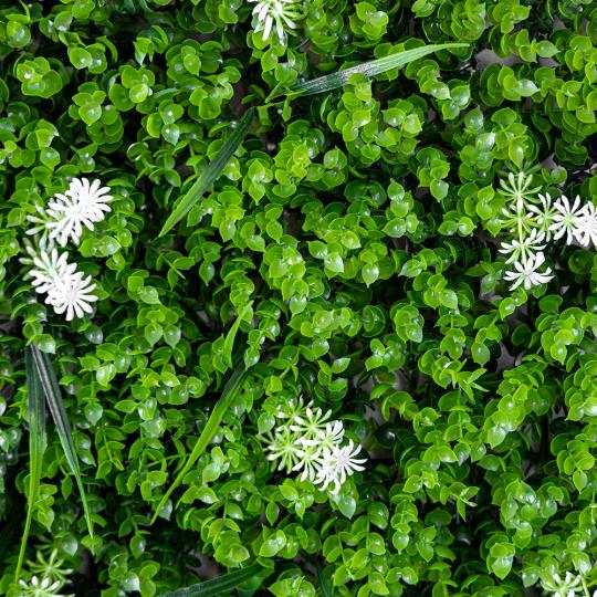 Декоративна панель зі штучної зелені Білий цвіт 40x60 см (9224-004) - фото 2 Декоративна панель зі штучної зелені Білий цвіт 40x60 см (9224-004) - фото 2