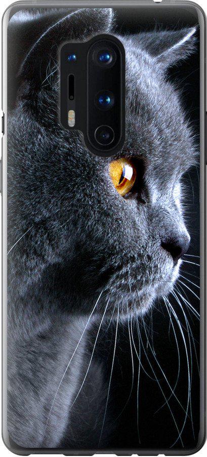Чехол на OnePlus 8 Pro Красивый кот (3038u-1896-42517)
