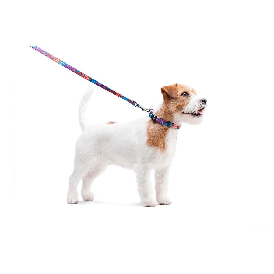 Нашийник для собак з QR-паспортом Waudog Nylon Літо пластиковий фастекс 15 мм 25-35 см Різнокольоровий (4586) - фото 7 Нашийник для собак з QR-паспортом Waudog Nylon Літо пластиковий фастекс 15 мм 25-35 см Різнокольоровий (4586) - фото 7