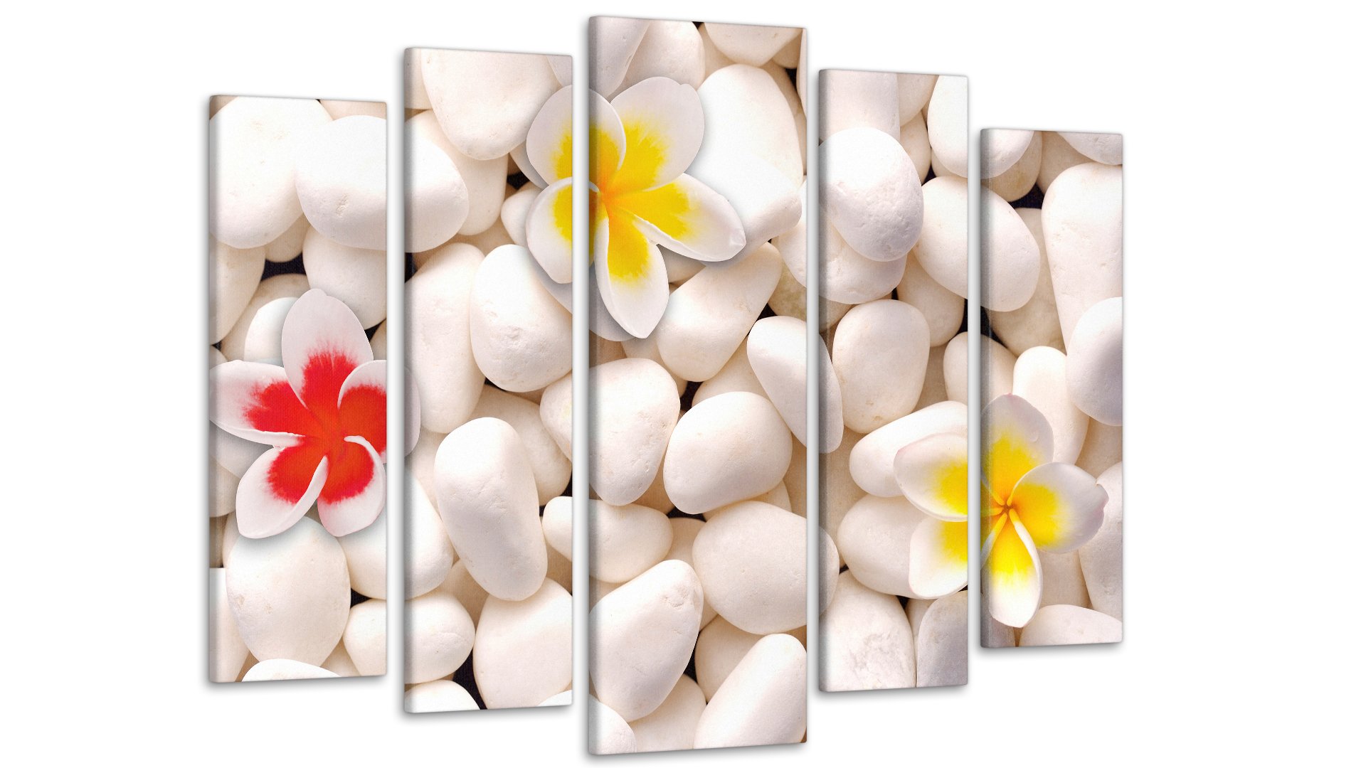 Картина модульная Цветы на камнях 80х118 см (Art-416_5)