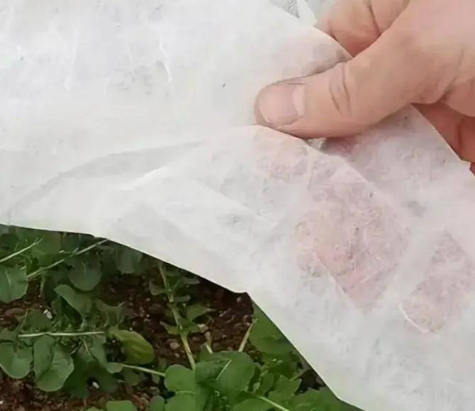 Агроволокно Shadow 17 г/м² 1,6x50 м (АВБР000011) - фото 2 Агроволокно Shadow 17 г/м² 1,6x50 м (АВБР000011) - фото 2