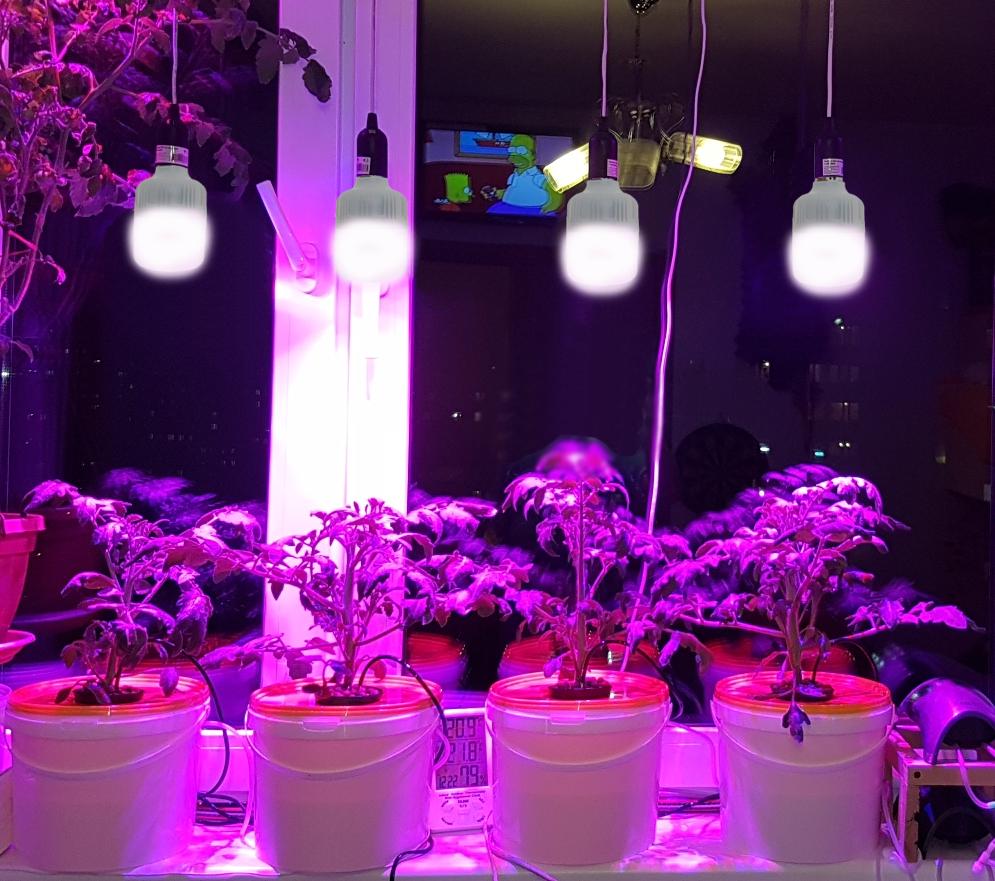 Фітолампа для зростання та формування коренів Grow LED E27 12 W Full Spectrum 9:1 220 V (L137-013) - фото 5