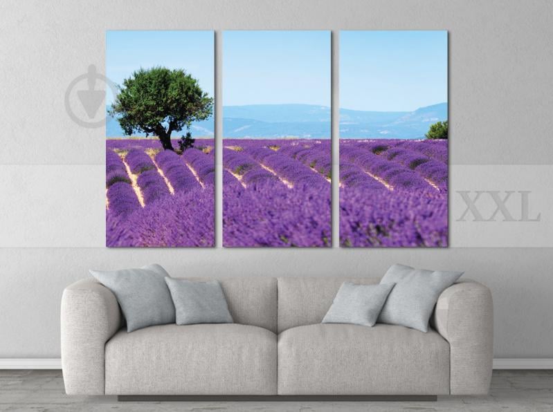 Модульна картина Poster-land Полі лаванди Art-41_XXL