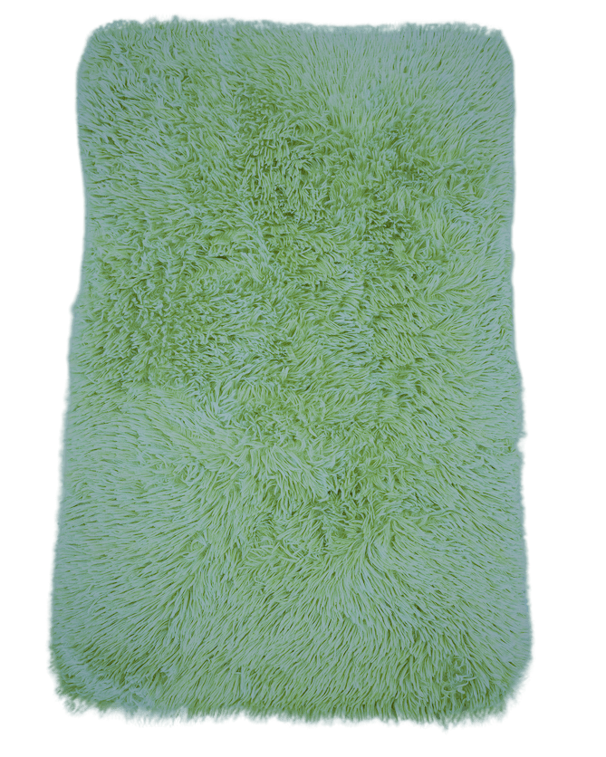 Коврик в ванную комнату Stenson Monocrom JY01082-L 40х60 см Мятно-салатовый (11120223)