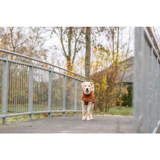 Худі для собак Trixie BE NORDIC Flensburg XS 27 см Пісок (TX-680731) - фото 5 Худі для собак Trixie BE NORDIC Flensburg XS 27 см Пісок (TX-680731) - фото 5