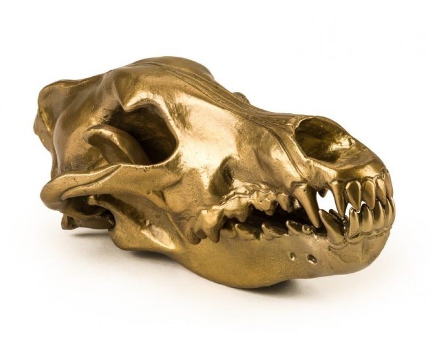 Статуэтка Seletti Wunderkrammer Wolf Skull (10892)