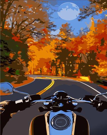 Картина за номерами Стратег на мотоциклі восени ss6761 30x40 см