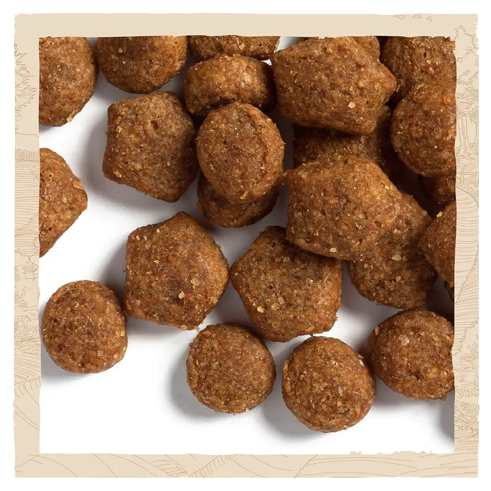 Сухой корм для щенков всех пород Dog Chow Puppy Lamb ягненок 14 кг (7613034487872) - фото 6 Сухой корм для щенков всех пород Dog Chow Puppy Lamb ягненок 14 кг (7613034487872) - фото 6