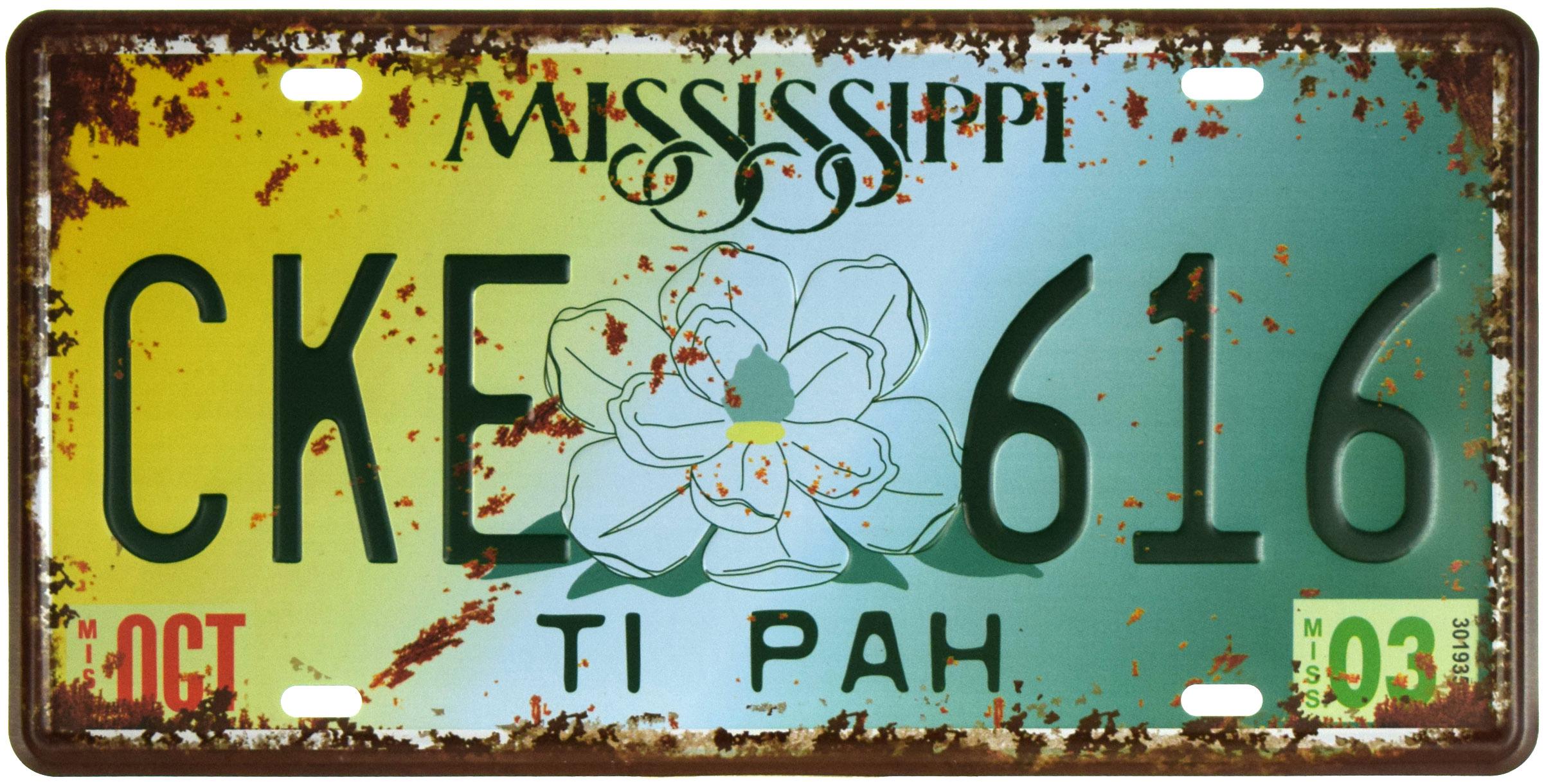 Табличка металлическая Миссисипи/Mississippi CKE 616 15x30 см