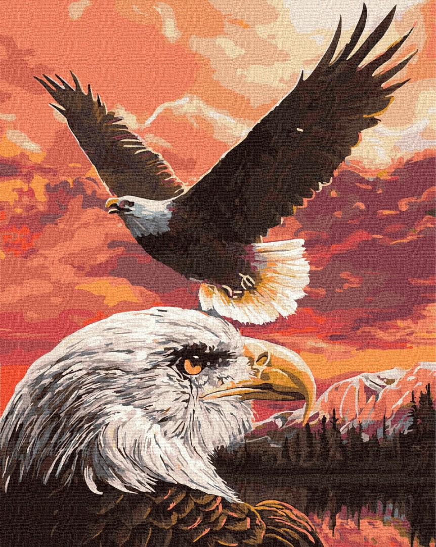 Картина по номерам Brushme Полёт орлов 40х50 см (BRM36240) Картина по номерам Brushme Полёт орлов 40х50 см (BRM36240)