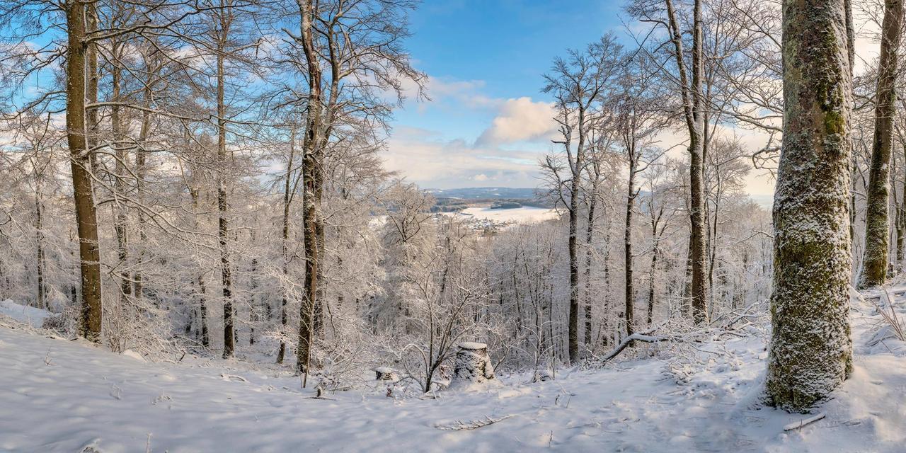 Картина на холсте Природа 30х40 см (PR436)