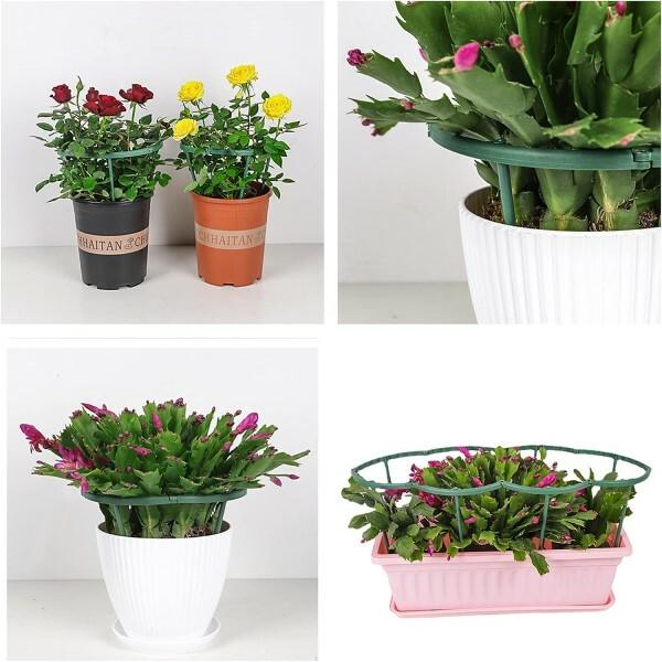 Подпорки для комнатных цветов 12 больших/12 малых Зеленый (C00082-1) - фото 4 Подпорки для комнатных цветов 12 больших/12 малых Зеленый (C00082-1) - фото 4