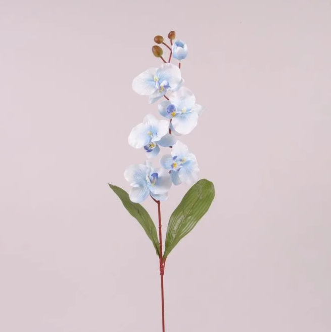 Квітка Фаленопсис Flora Блакитний (73020)