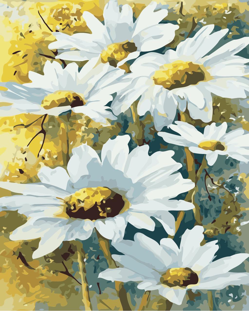 Картина по номерам ArtStory Полевые ромашки 40x50 см (AS0840)