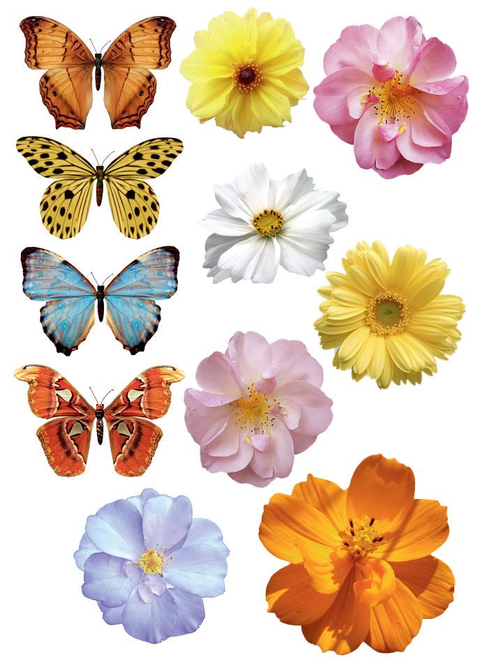 Декоративная наклейка Арт-Декор 14 Микс 50х70 см (2000000480718)