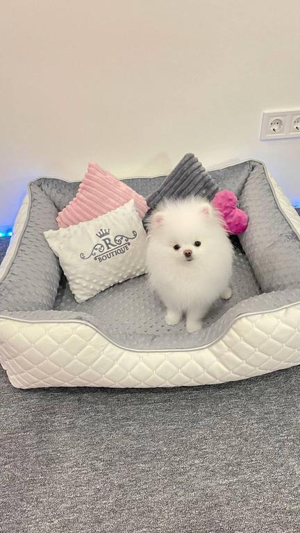 Лежанка для собак Amore mio Cane Брідж до 8 кг 70х50х23 см (DB-0098) - фото 6 Лежанка для собак Amore mio Cane Брідж до 8 кг 70х50х23 см (DB-0098) - фото 6