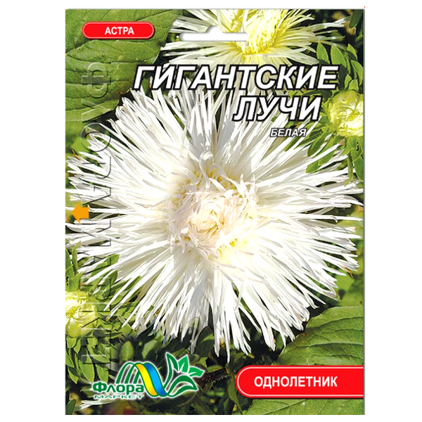 Насіння Айстра Гігантські промені голчаста біла 0,3 г (27313)