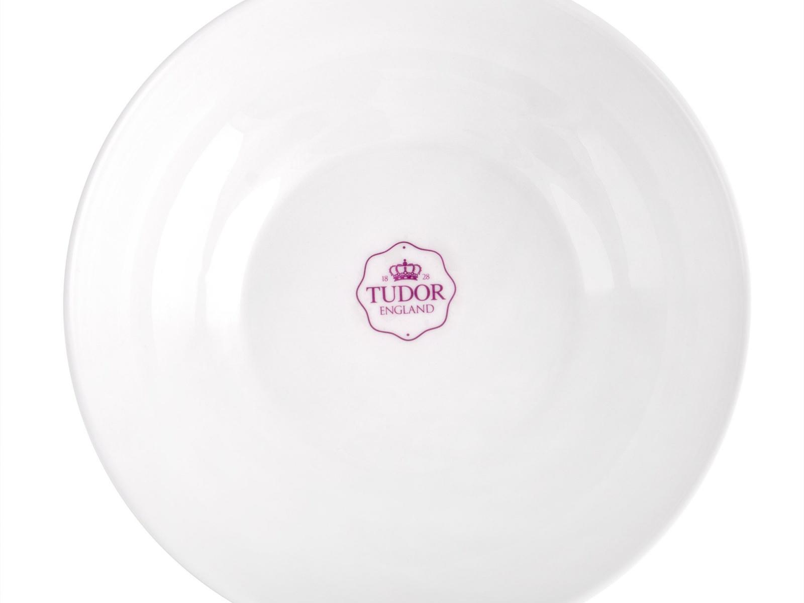 Салатник фарфоровий Interos TU1055 21 см - фото 5