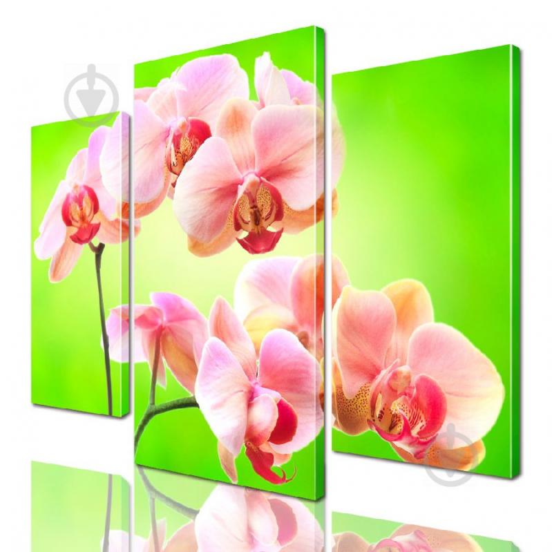 Модульная картина ArtStar цветы Орхидея ADFL0179 размер 95 х 120 см